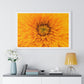 Vibrant Yellow Flower Relaxing Large Wall Art, Framed Print