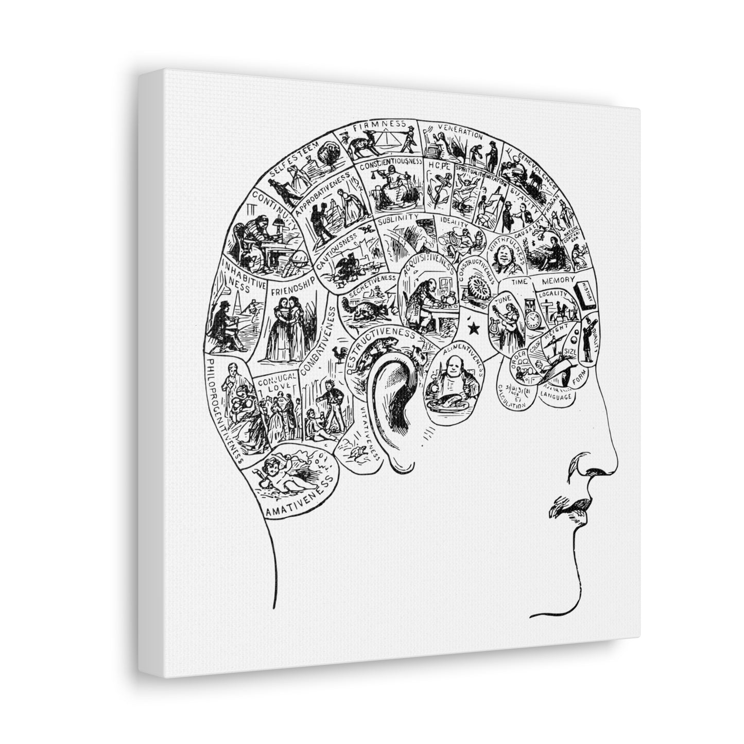 Victorian Phrenology Drawing, 'Symbolic Head Illustrating the Natural Language of the Faculties' (1890) from the Original, Print on Canvas