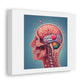 Medical Illustration Cross Section of Human Brain Showing Where Love Comes Out Art Print ' Designed by AI' on Satin Canvas