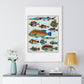 L’Histoire Générale des Voyages (1747-1780) by Unknown, a Collage of Colourful Rare Exotic Fish, from the Original, Framed Print