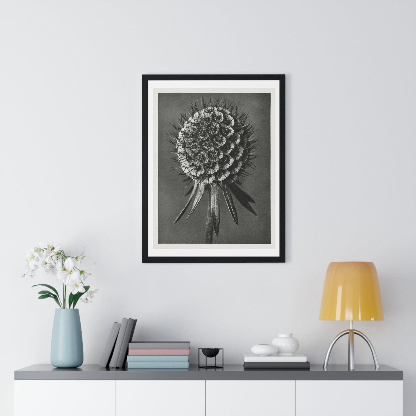 Phacelia Tanacetifolia (Lacy Phacelia) Enlarged 12 Times from 'Urformen der Kunst' (1928) by Karl Blossfeldt, from the Original, Framed Art Print