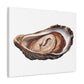 Jewellery Oyster Clam Invertebrate Art Print on Satin Canvas, Stretched