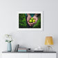 Limes in a Worker's Hands, Photographic Decor, Large Framed Print