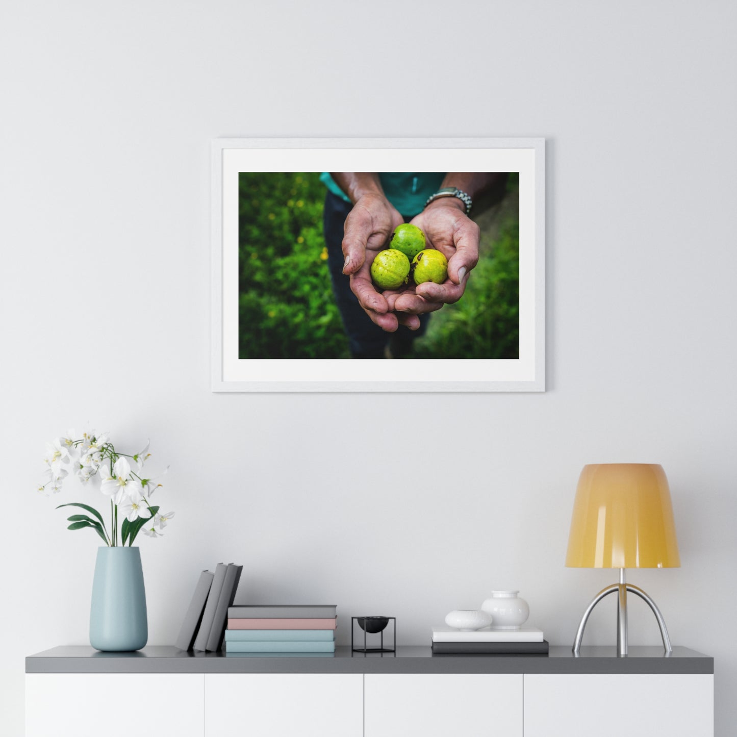 Limes in a Worker's Hands, Photographic Decor, Large Framed Print