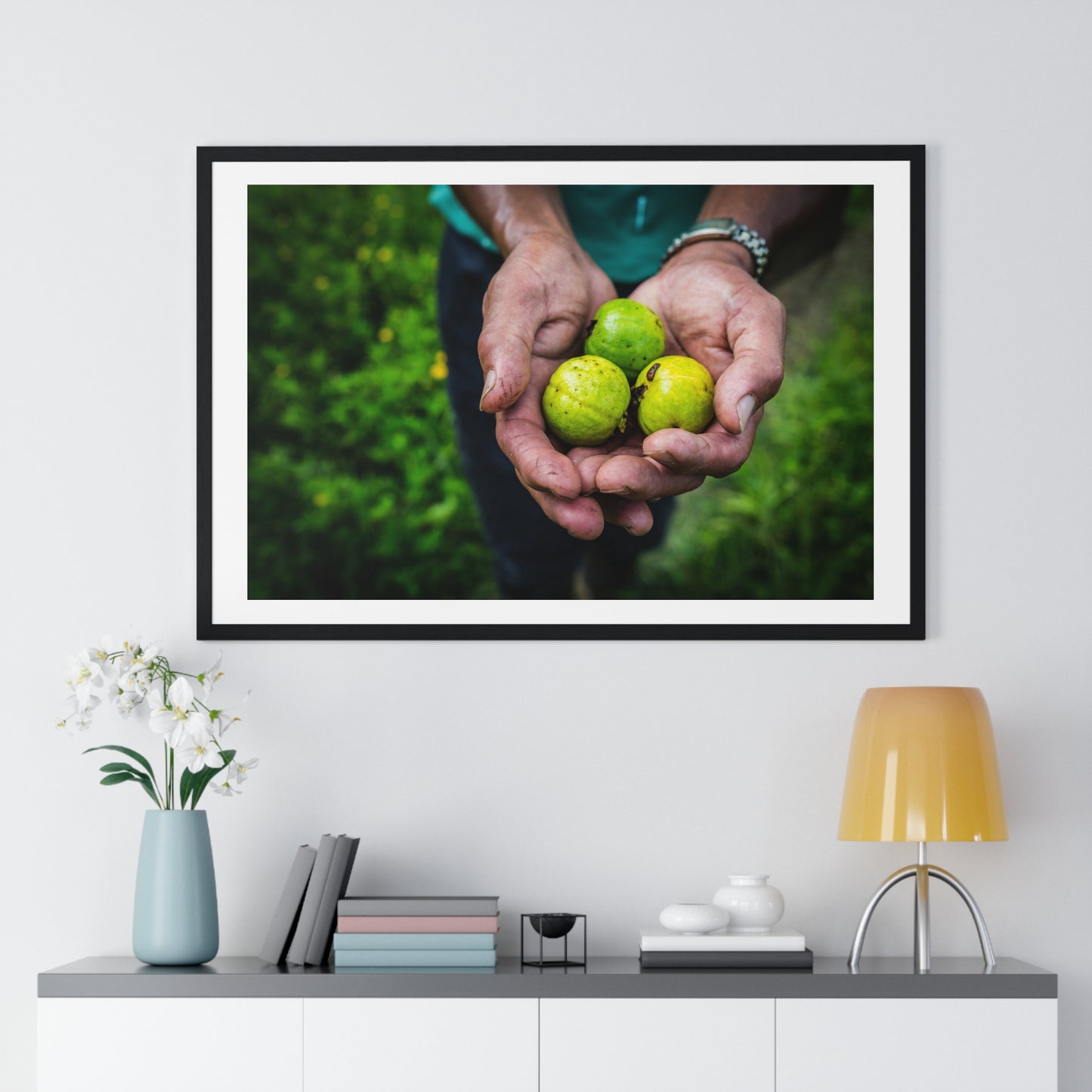 Limes in a Worker's Hands, Photographic Decor, Large Framed Print
