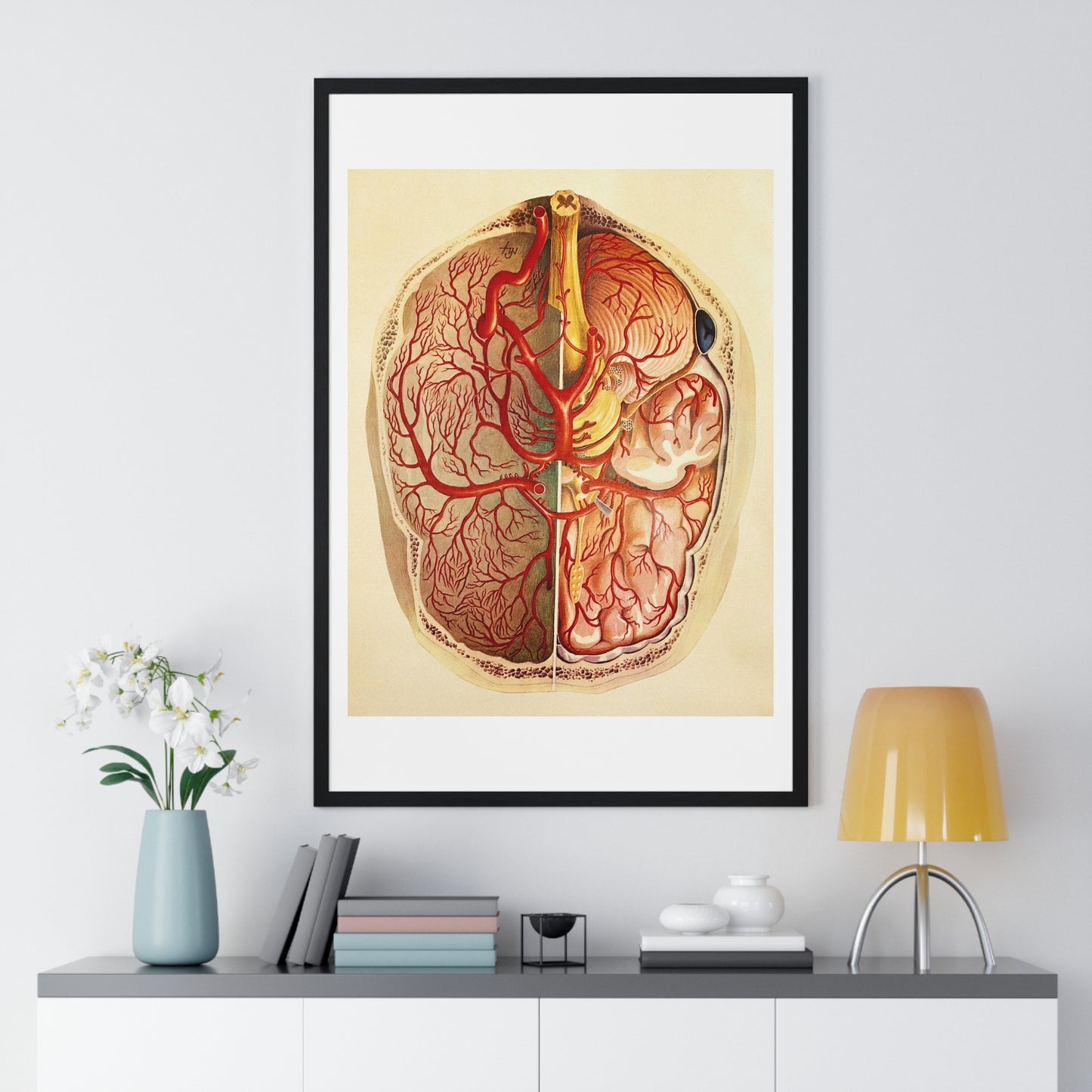 Brain Posterior View, Colour Lithograph by Brocades Great Britain, from the Original,  Framed Art Print