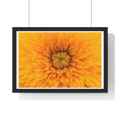 Vibrant Yellow Flower Relaxing Large Wall Art, Framed Print