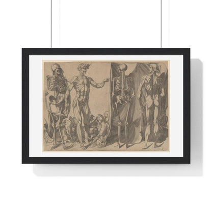 Two Flayed Men and Their Skeletons (1540–1545) by Domenico del Barbiere, from the Original, Framed Art Print