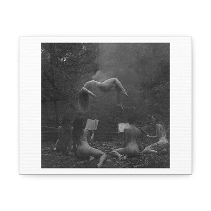 Water Nymphs Retro Black & White Photography on Satin Canvas