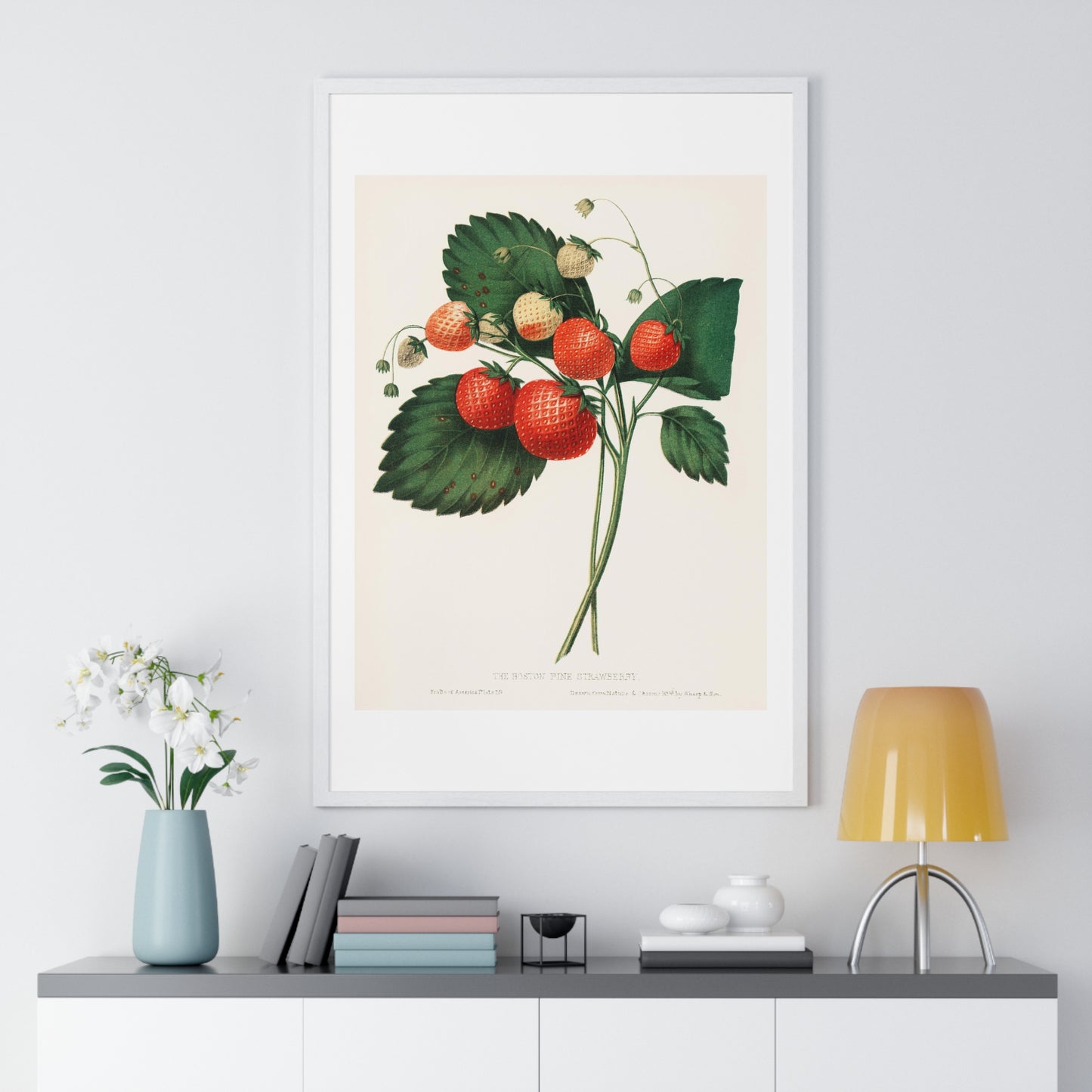 The Boston Pine Strawberry (1852) Vintage Illustration by Charles Hovey, from the Original, Framed Art Print