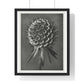 Phacelia Tanacetifolia (Lacy Phacelia) Enlarged 12 Times from 'Urformen der Kunst' (1928) by Karl Blossfeldt, from the Original, Framed Art Print