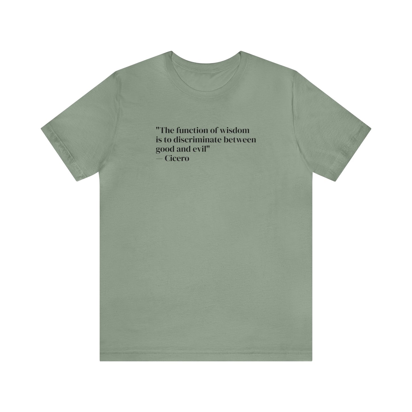 The Function of Wisdom is to Discriminate Between Good and Evil, Soft Jersey T-Shirt