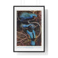 Blue Bird of Paradise Illustrated by Sir Henry Hamilton Johnston (1858-1927) from the Original, Framed Print