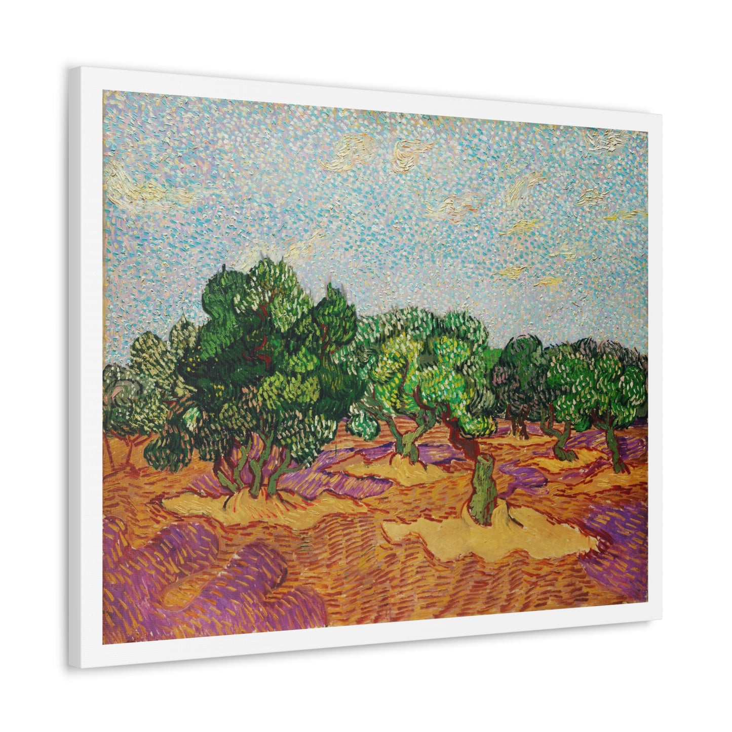 Olive Trees (1889) by Vincent Van Gogh, Canvas Art Print from the Original