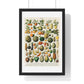 Vintage Illustration of Fruits and Vegetables from 'Nouveau Larousse Illustre' (1898), by Larousse, Pierre, Augé and Claude, from the Original, Framed Print