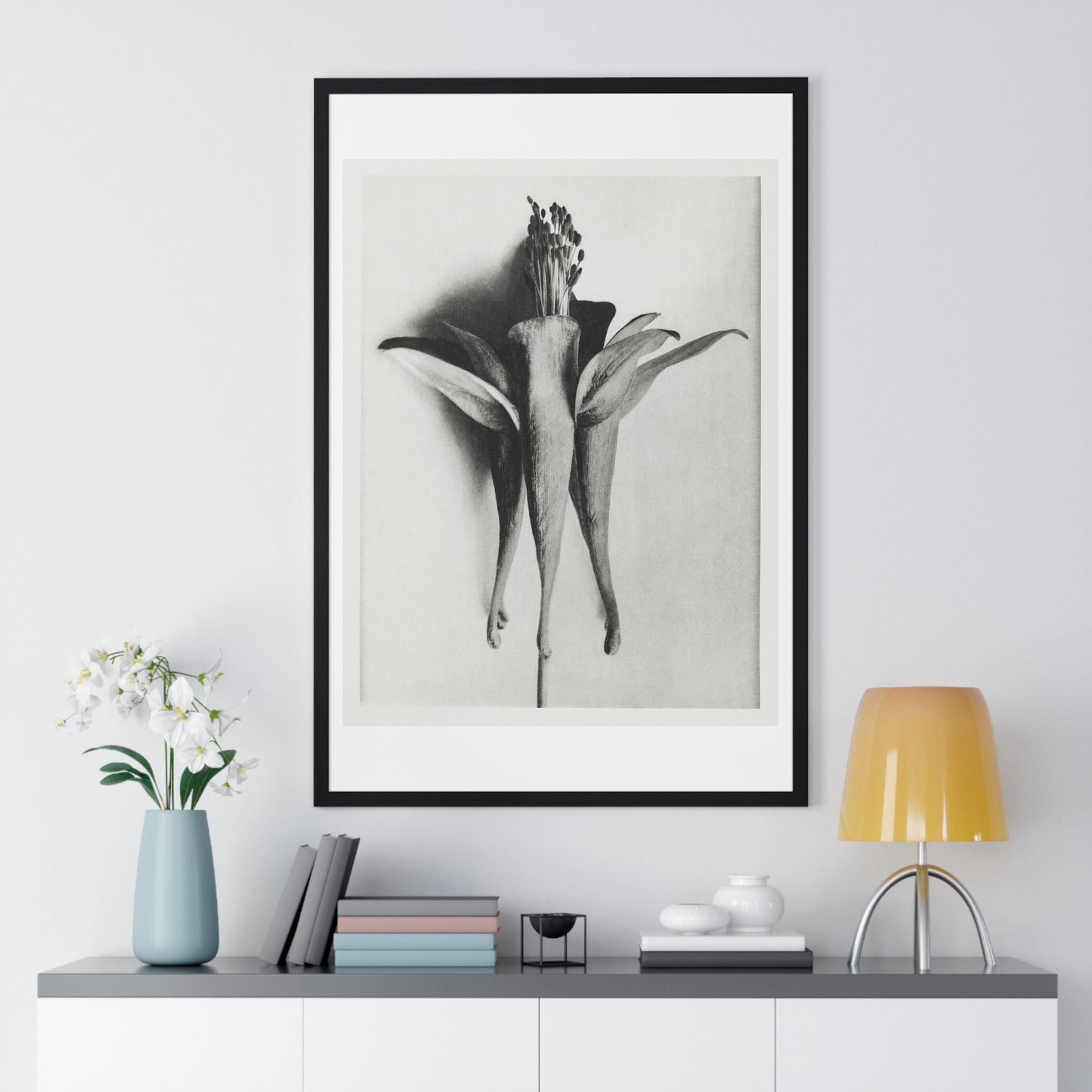 Aquilegia Chrysantha 'Golden Columbine' Enlarged Six times from Urformen der Kunst (1928) by Karl Blossfeldt, rom the Original, Framed Print