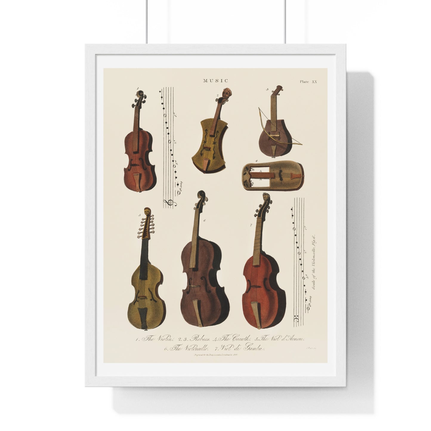 A Collection of Antique Violin, Viola, Cello and More from Encyclopedia Londinensis (1810) from the Original Art Print on Canvas