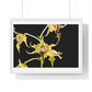 Dendrobium Alexandrae 'Fruits of Love' Orchid Essence, from the Original, Framed Print