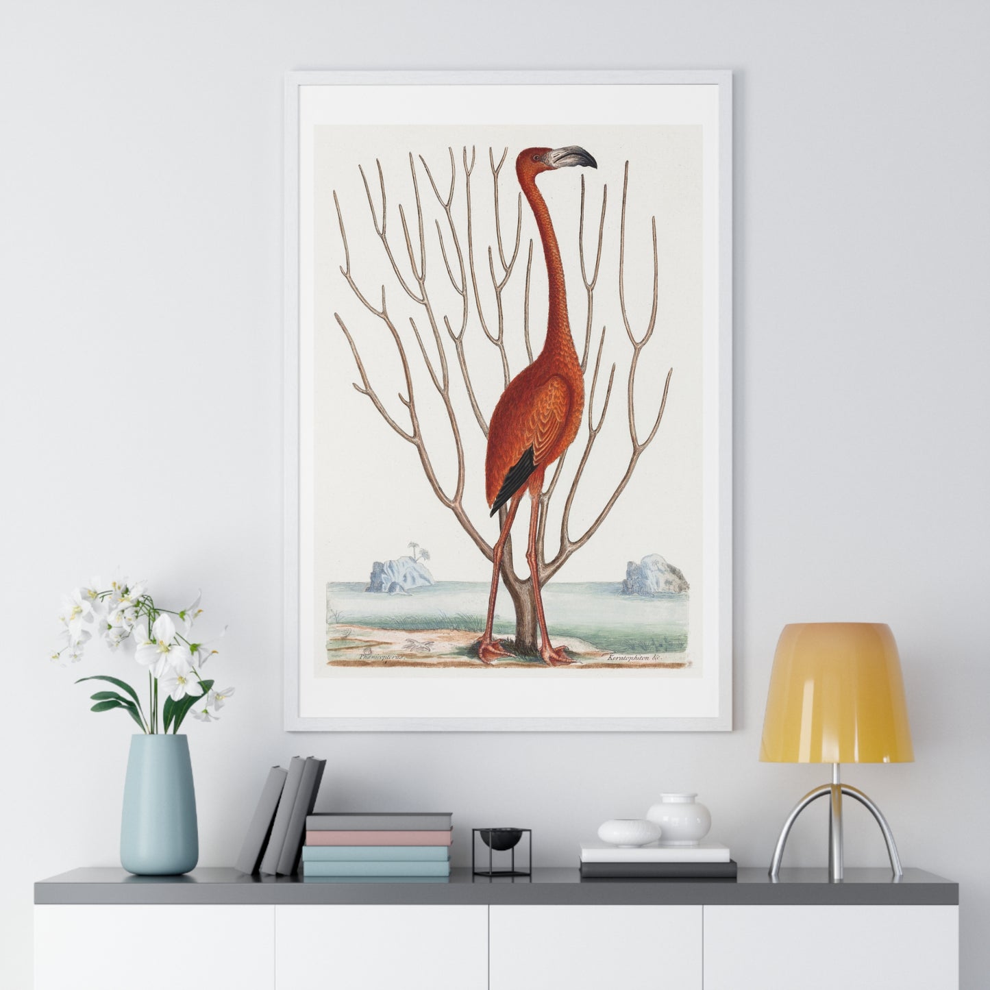 Flamingo (1731–1743) Vintage Illustration by Mark Catesby, from the Original, Framed Art Print