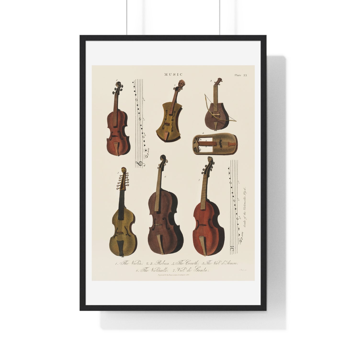 A Collection of Antique Violin, Viola, Cello and More from Encyclopedia Londinensis (1810) from the Original Art Print on Canvas