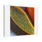 Abstract Citrus Fruits, Decor Art Print on Canvas