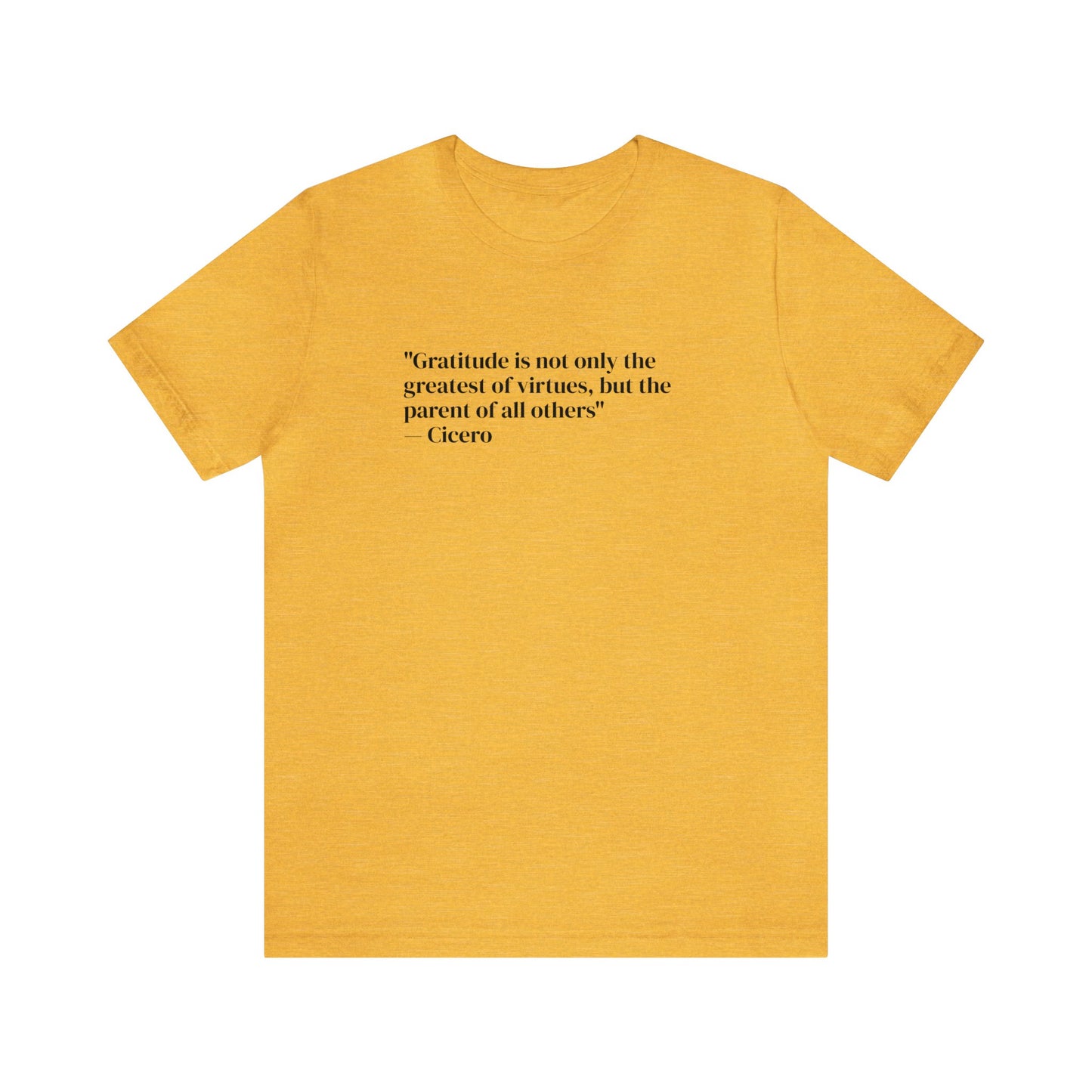 Gratitude Is The Greatest Of All Virtues, Soft Jersey T-Shirt