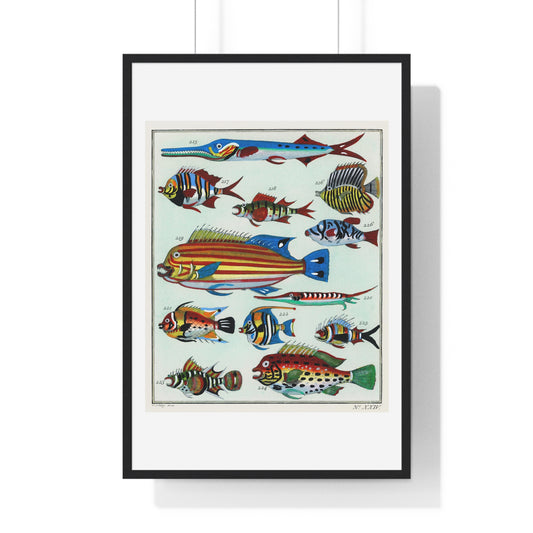 L’Histoire Générale des Voyages (1747-1780) by Unknown, a Collage of Colourful Rare Exotic Fish, from the Original, Framed Print