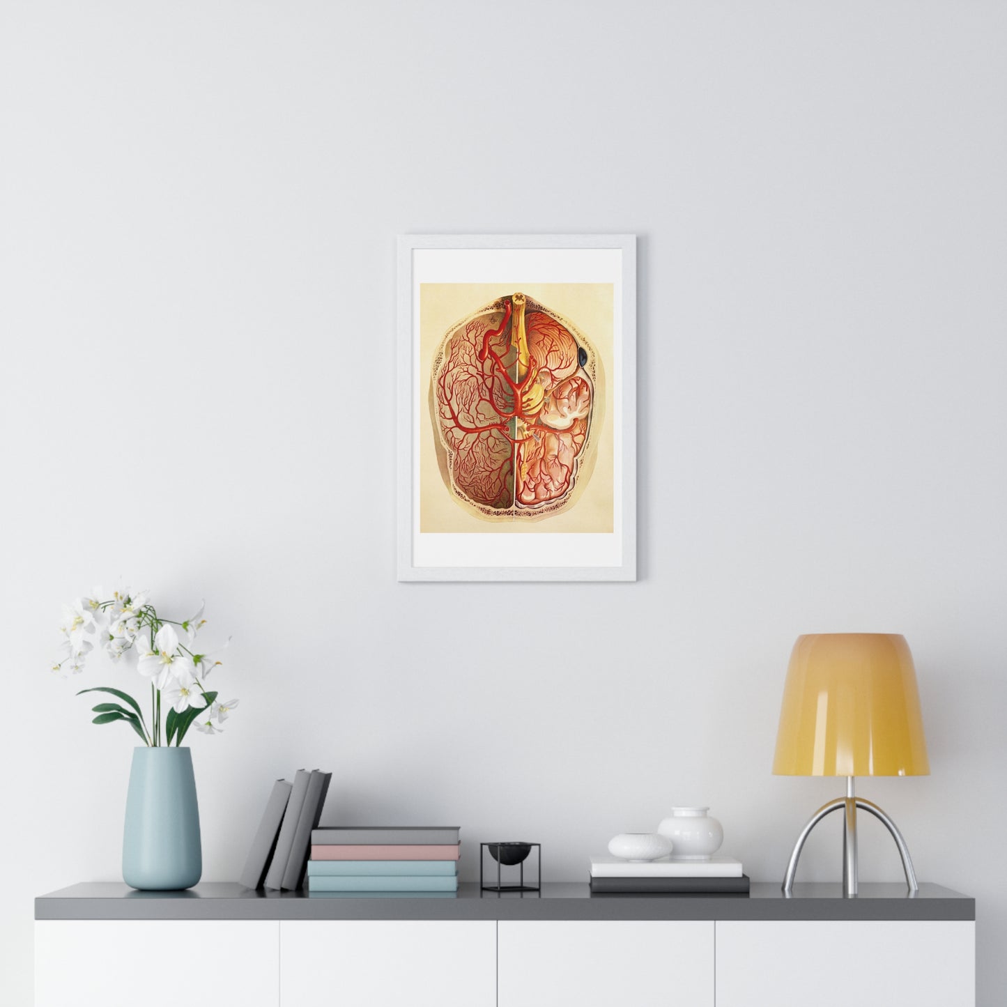 Brain Posterior View, Colour Lithograph by Brocades Great Britain, from the Original,  Framed Art Print