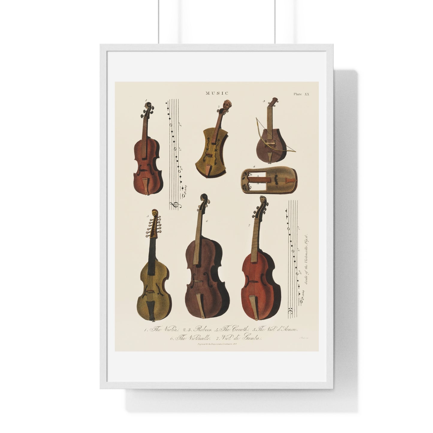 A Collection of Antique Violin, Viola, Cello and More from Encyclopedia Londinensis (1810) from the Original Art Print on Canvas