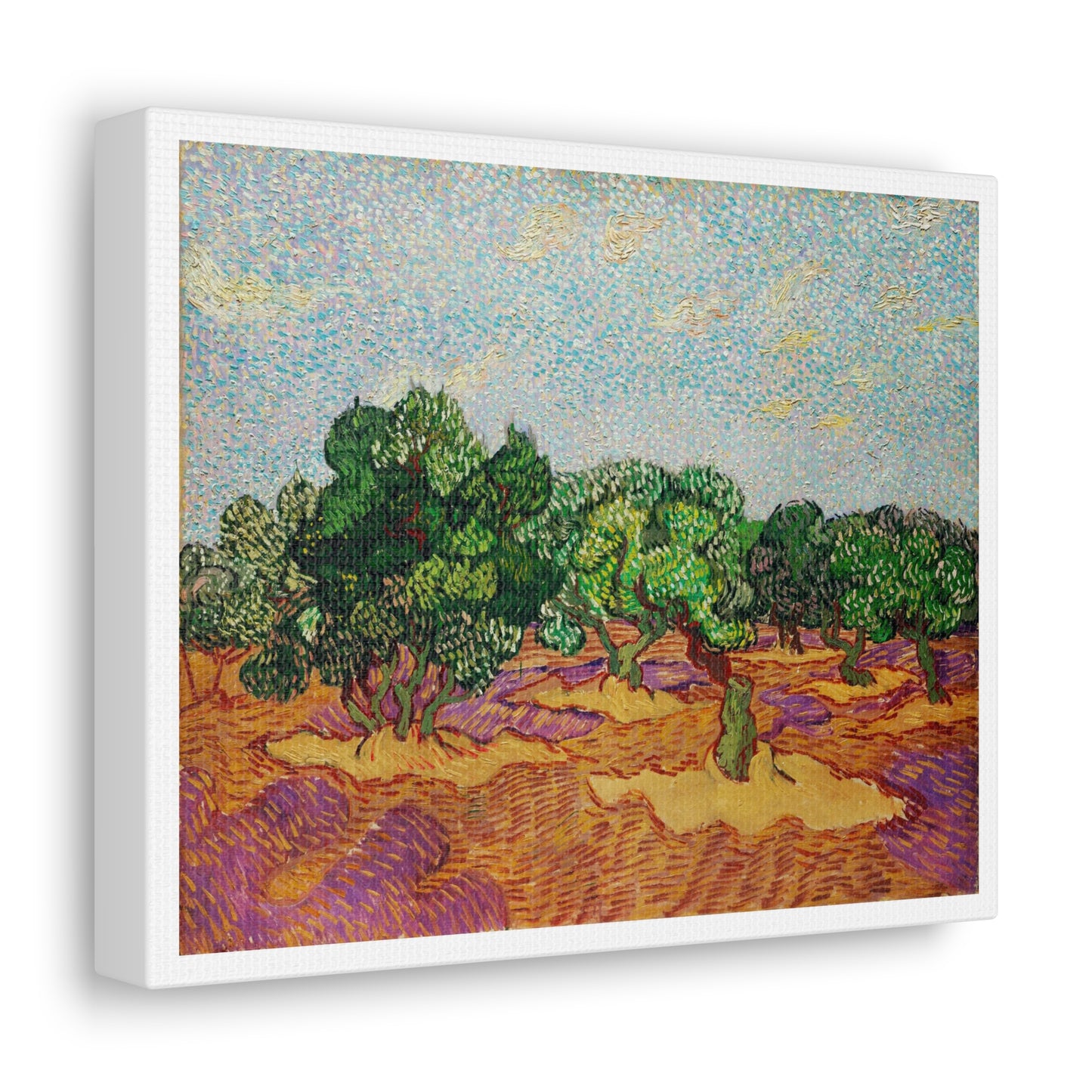 Olive Trees (1889) by Vincent Van Gogh, Canvas Art Print from the Original