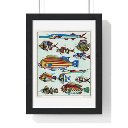 L’Histoire Générale des Voyages (1747-1780) by Unknown, a Collage of Colourful Rare Exotic Fish, from the Original, Framed Print