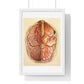 Brain Posterior View, Colour Lithograph by Brocades Great Britain, from the Original,  Framed Art Print