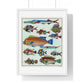 L’Histoire Générale des Voyages (1747-1780) by Unknown, a Collage of Colourful Rare Exotic Fish, from the Original, Framed Print