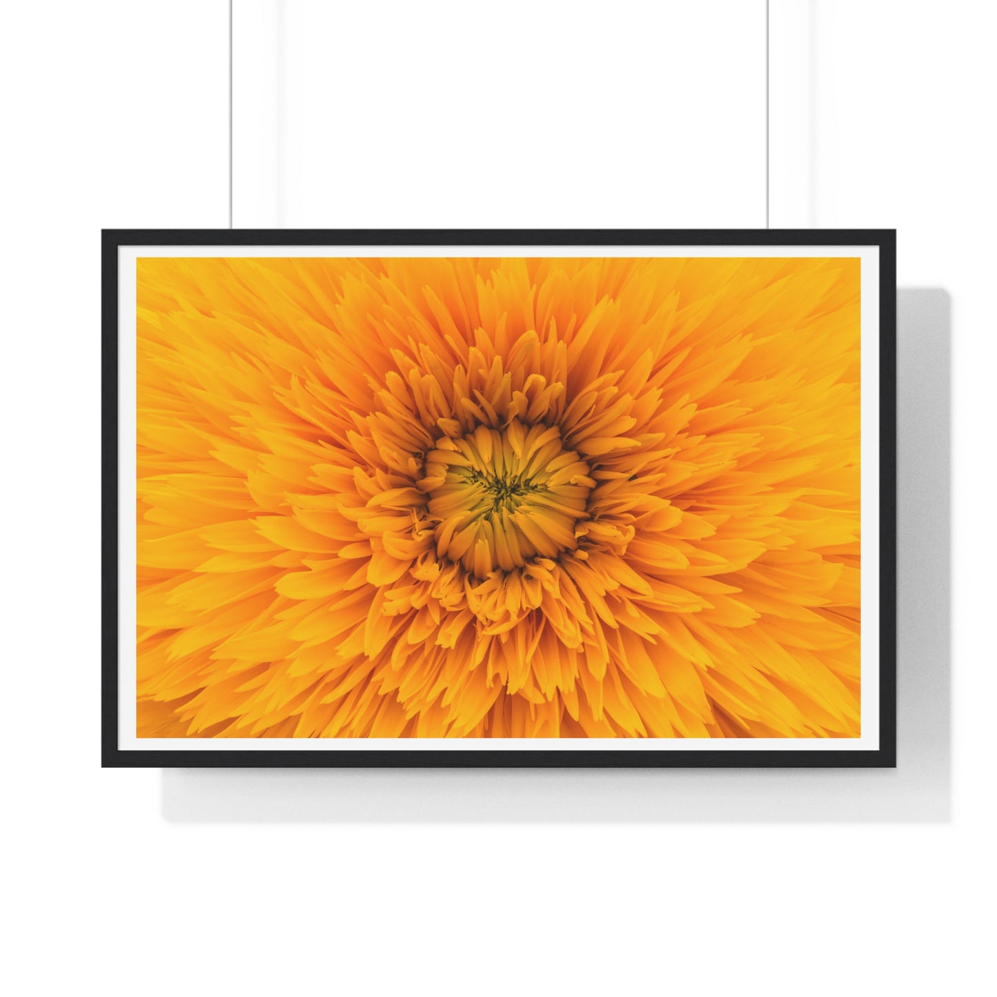 Vibrant Yellow Flower Relaxing Large Wall Art, Framed Print
