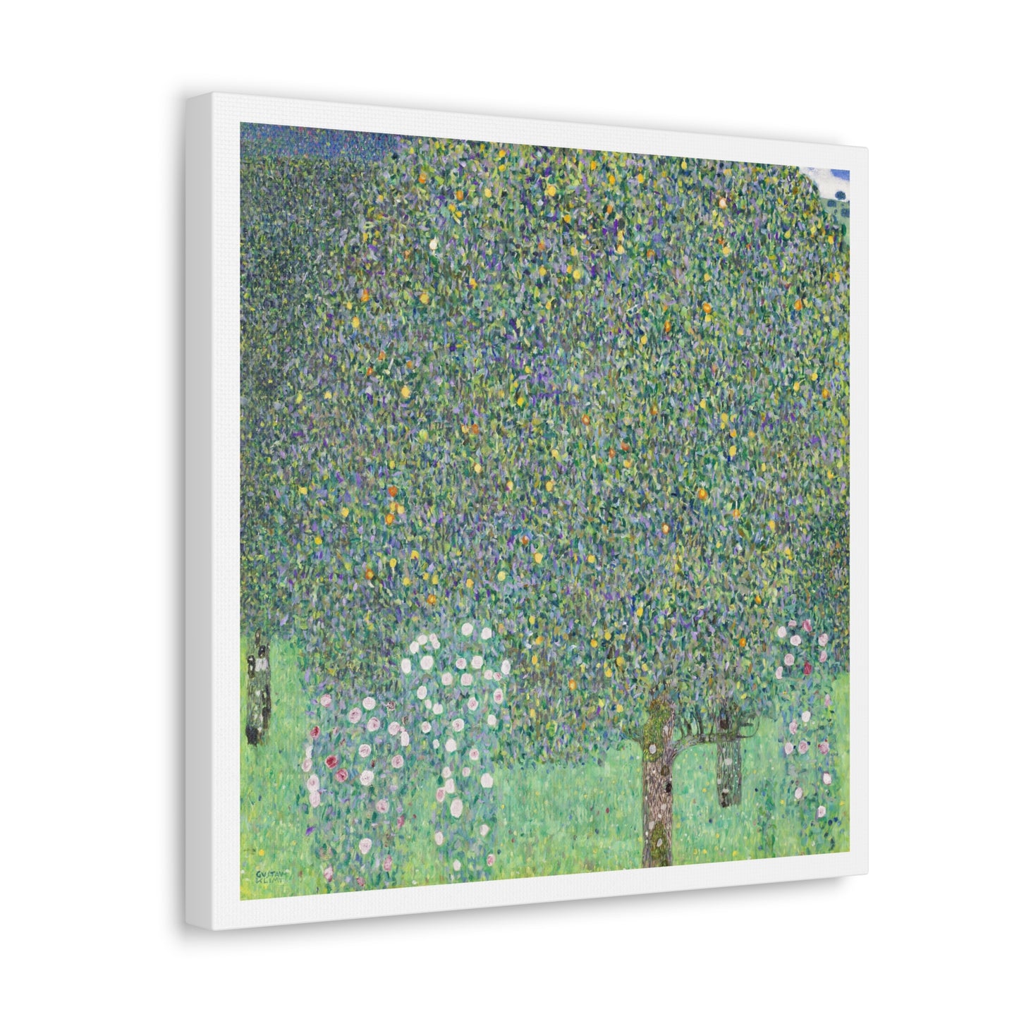 Rosebushes under the Trees (1905) by Gustav Klimt, Canvas Art Print from the Original