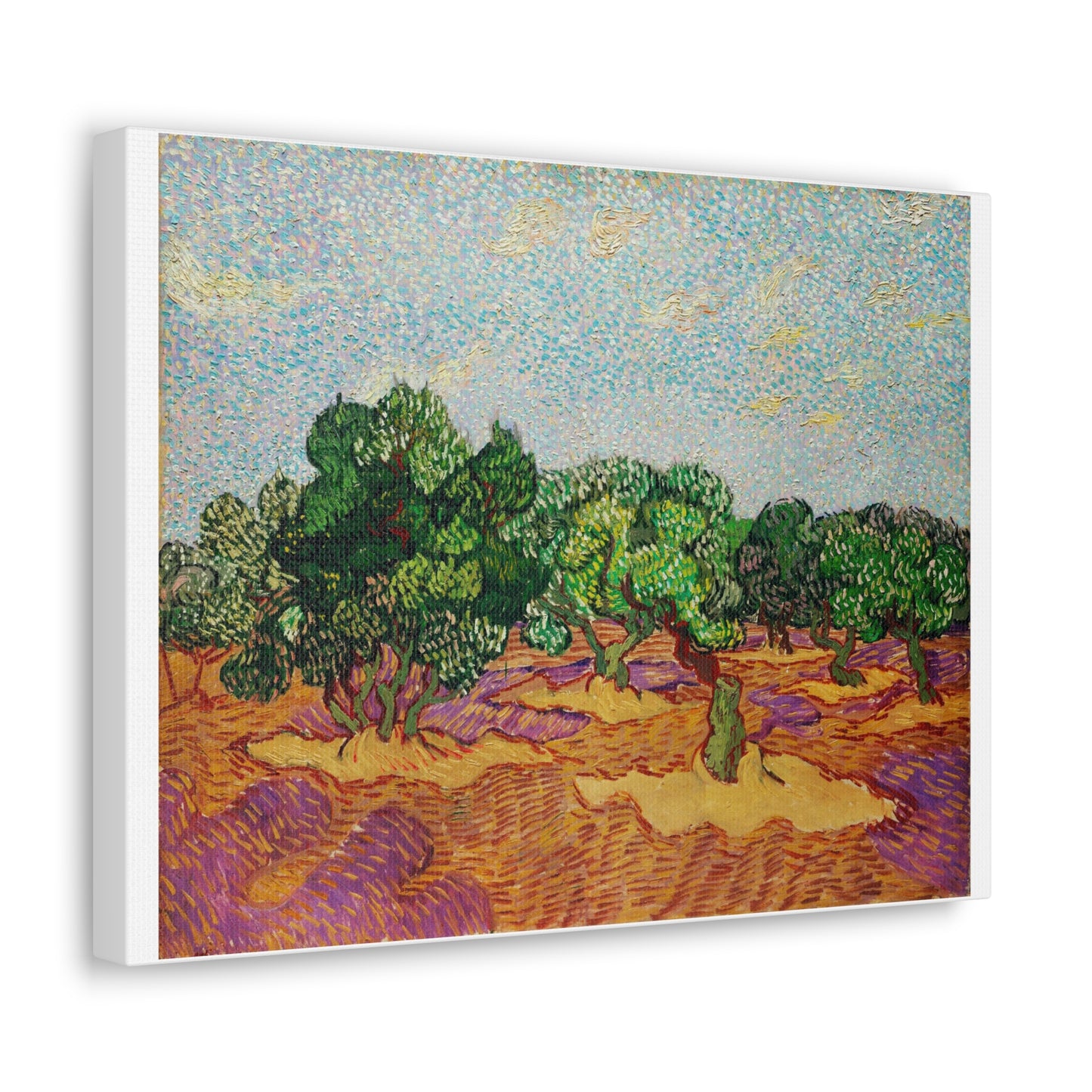 Olive Trees (1889) by Vincent Van Gogh, Canvas Art Print from the Original