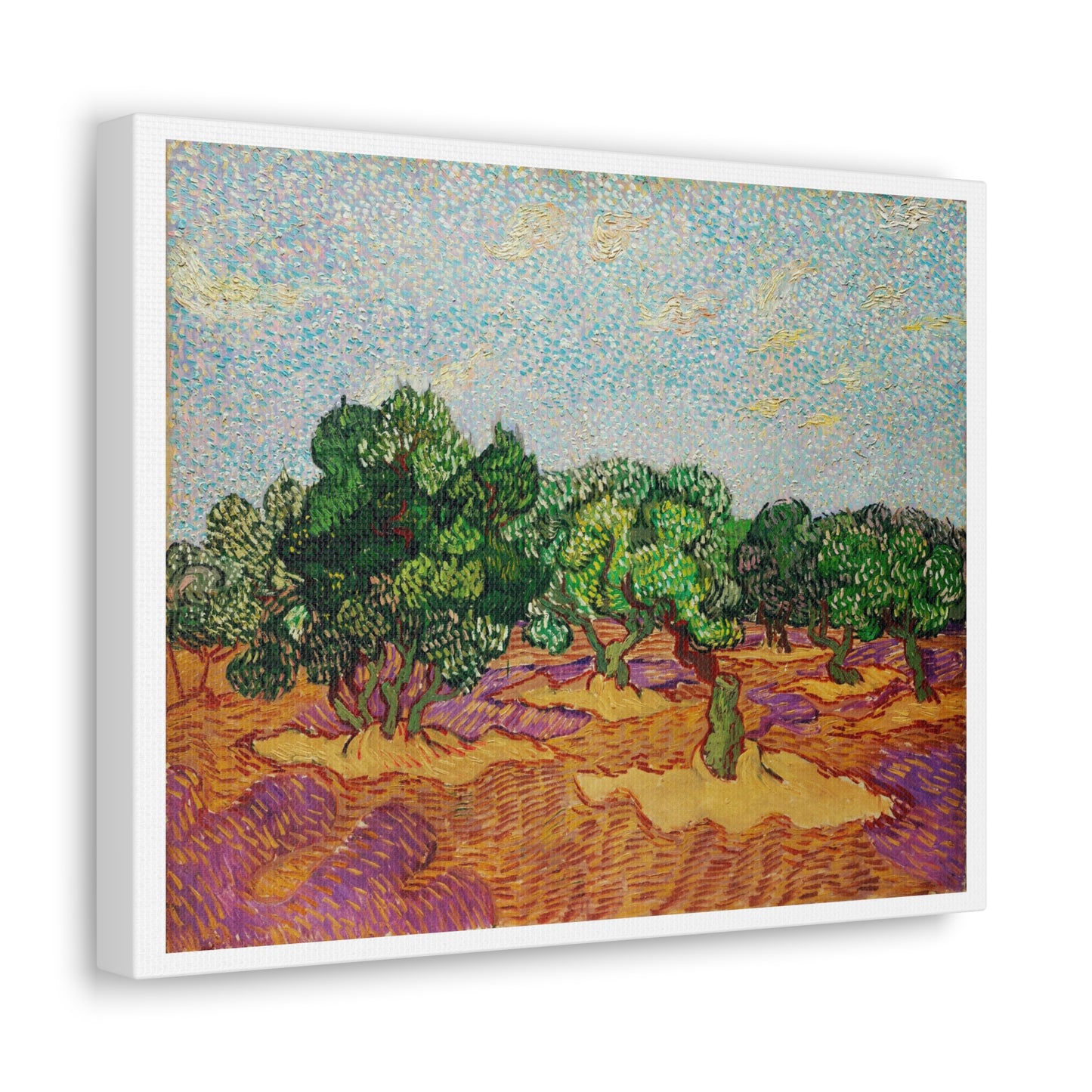 Olive Trees (1889) by Vincent Van Gogh, Canvas Art Print from the Original