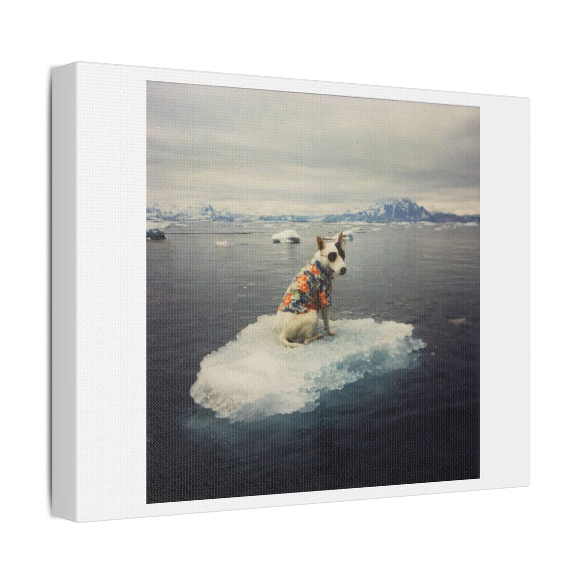 Arctic Adventure Dog, Surrealist Stretched Canvas Wall Art
