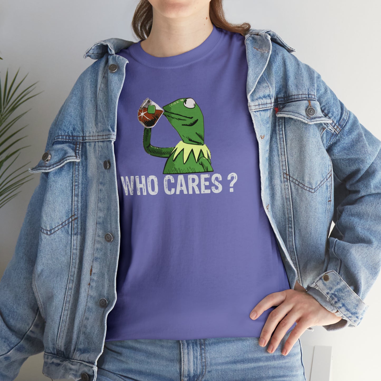 Who Cares Kermit Funny T-Shirt