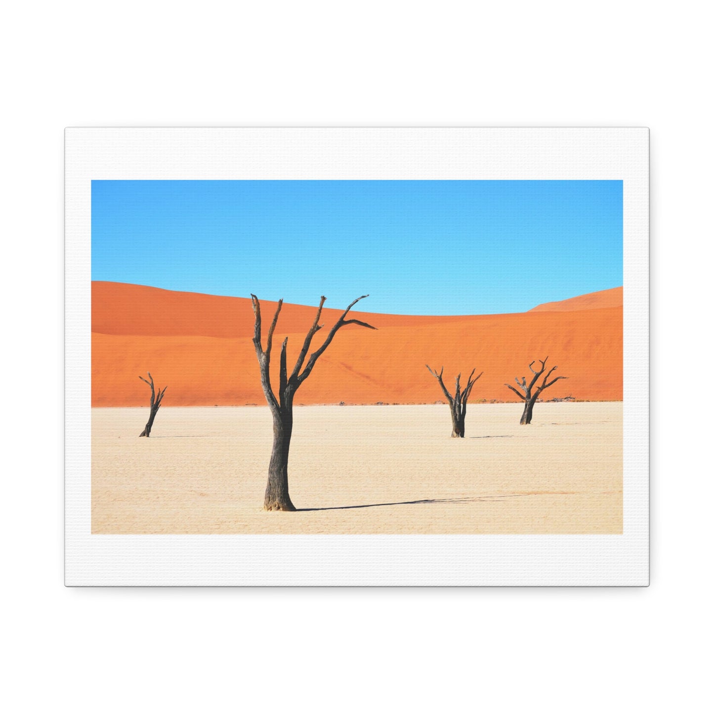 Dead Tree on Desert Illustration, Art Print on Satin Canvas