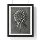 Phacelia Tanacetifolia (Lacy Phacelia) Enlarged 12 Times from 'Urformen der Kunst' (1928) by Karl Blossfeldt, from the Original, Framed Art Print