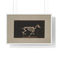 Skeleton of Horse Running, Leaving the Ground (circa 1881) by Eadweard Muybridge, from the Original, Framed Print