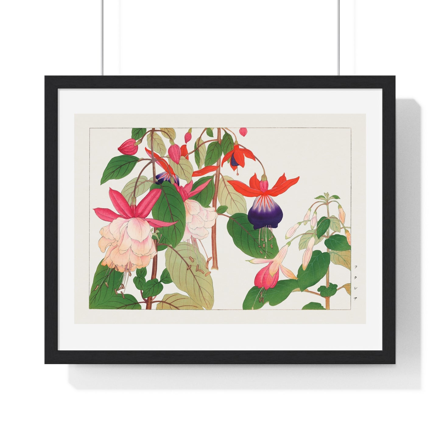 Fuchsia, Japanese Woodblock Art (1917) from Seiyō Sōka Zufu, by Tanigami Kônan, Framed Art Print