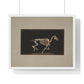 Skeleton of Horse Running, Leaving the Ground (circa 1881) by Eadweard Muybridge, from the Original, Framed Print