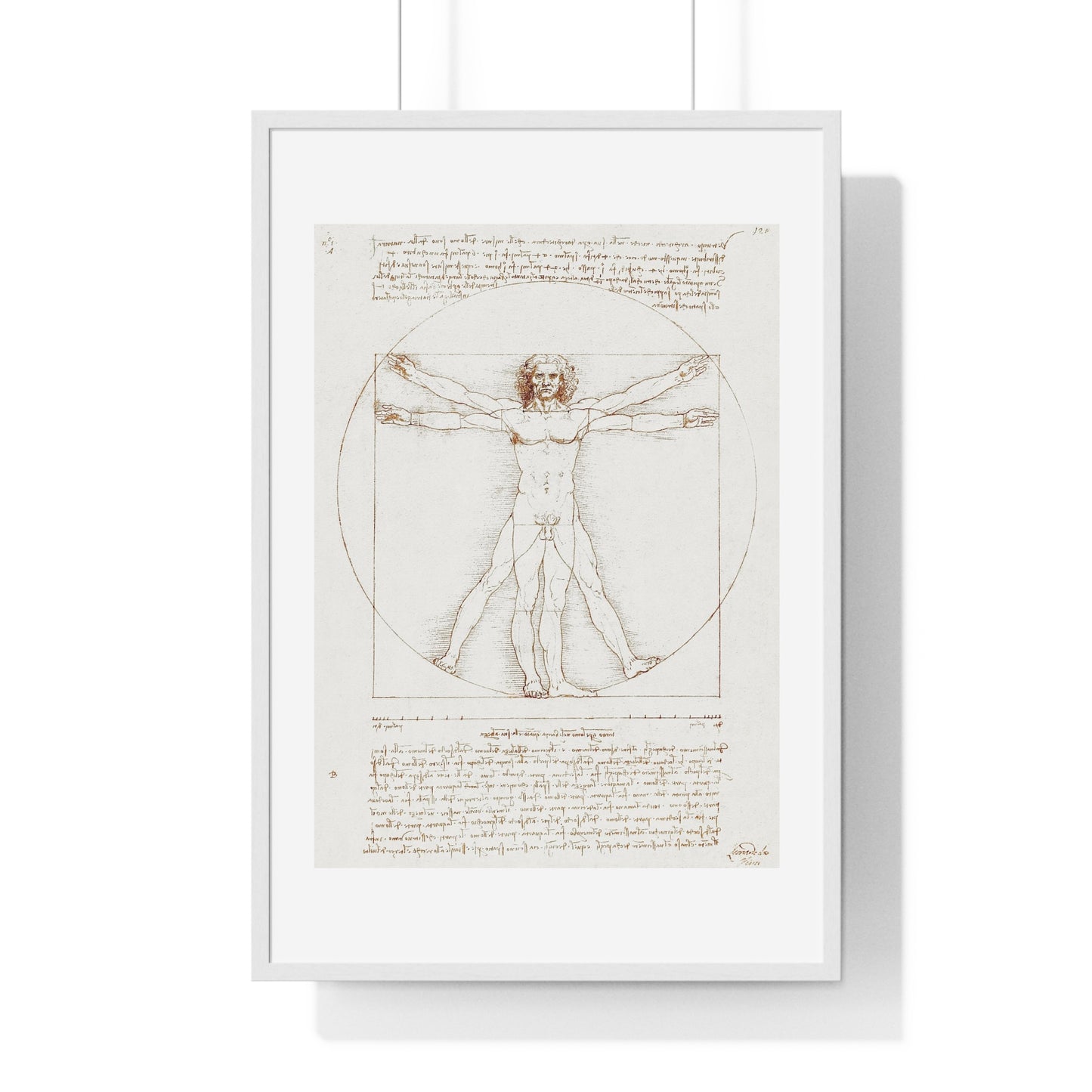 Vitruvian Man (circa 1490) by Leonardo da Vinci, from the Original, Framed Art Print