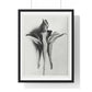 Aquilegia Chrysantha 'Golden Columbine' Enlarged Six times from Urformen der Kunst (1928) by Karl Blossfeldt, rom the Original, Framed Print