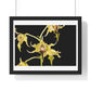 Dendrobium Alexandrae 'Fruits of Love' Orchid Essence, from the Original, Framed Print