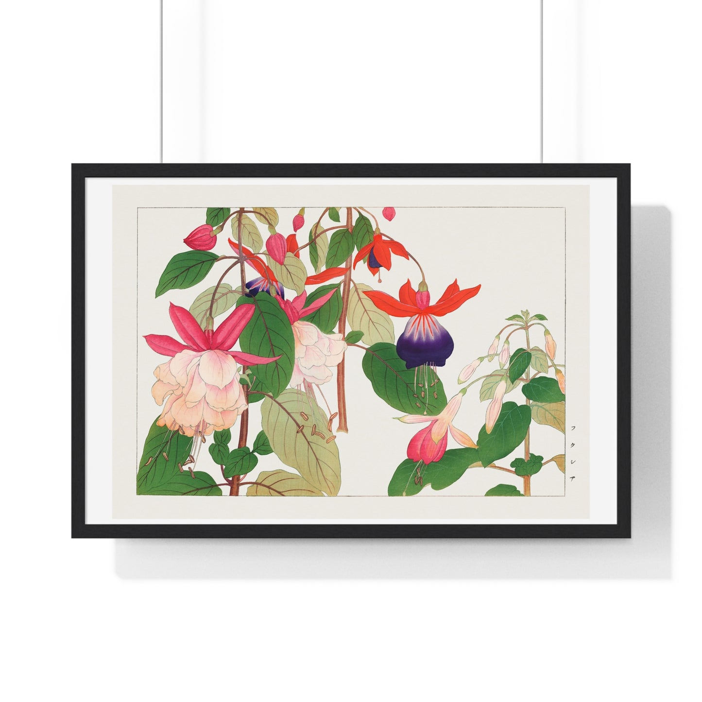 Fuchsia, Japanese Woodblock Art (1917) from Seiyō Sōka Zufu, by Tanigami Kônan, Framed Art Print