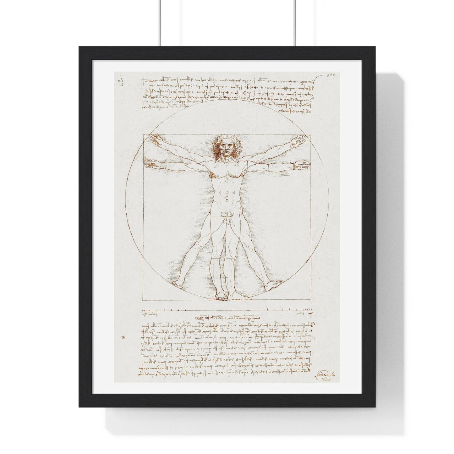 Vitruvian Man (circa 1490) by Leonardo da Vinci, from the Original, Framed Art Print