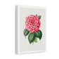 Hand Drawn Red Camellia, Art Print from the Original on Canvas